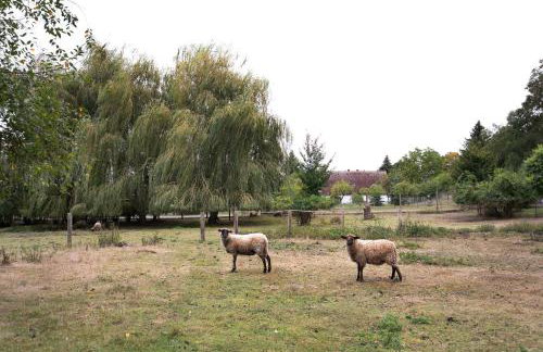Ferienwohnung Shaun - Foto 26