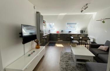 2 chambres Hyper centre avec place de Parking et WIFI - Foto 3