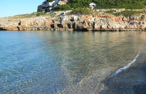 Finca Son Blat - Photo 64