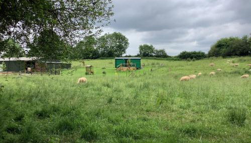 Shepherds Hut (Benny's) - Foto 4