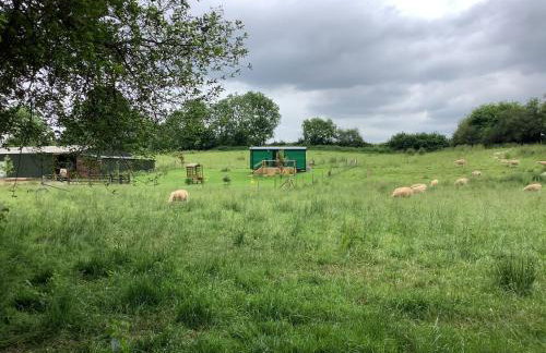 Shepherds Hut (Benny's) - Photo 4