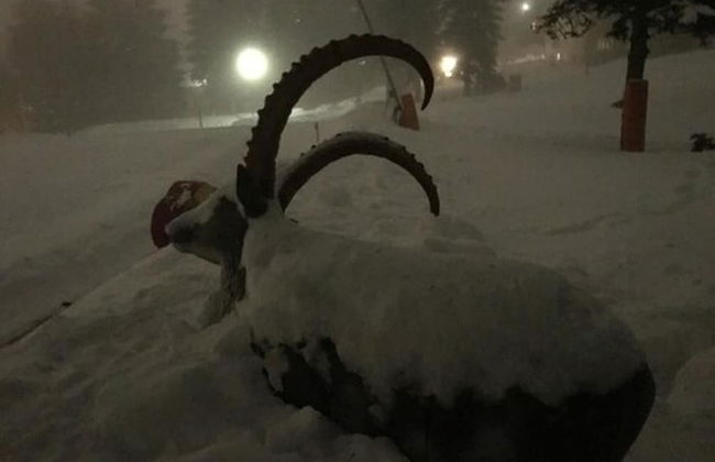 Apartments Fichtelberger Blick - Foto 61