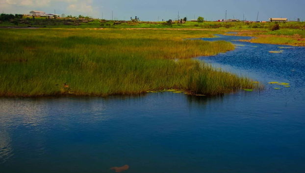 Excursion au temple sur la Mer et au lac de La Brea