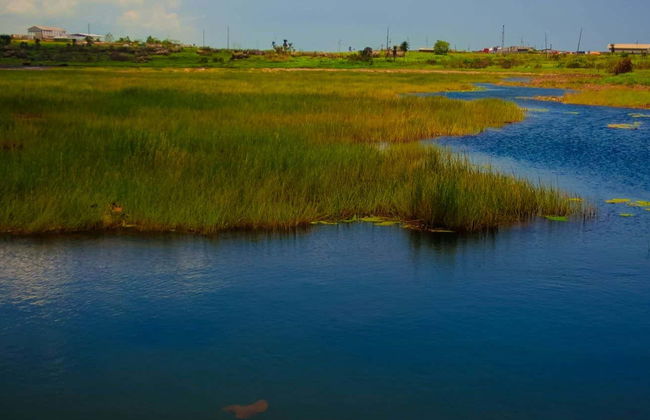 Excursion au temple sur la Mer et au lac de La Brea - Photo 5