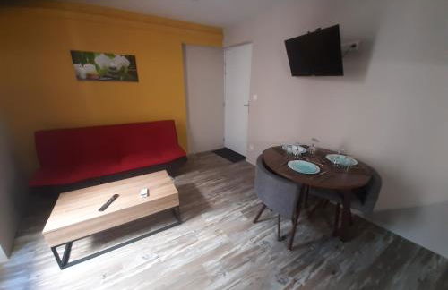 3 Apt T2 COSY de 40 à 50 M2 Idéal pour un déplacement PRO " Les IRIS " - Foto 22