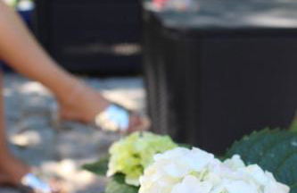 Bosque dos Amieiros - Foto 52