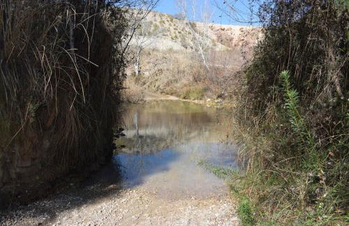 Alojamientos Villarias Archena - Foto 55