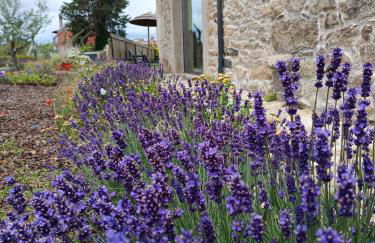 Casa D'Augusta - Agroturismo - Foto 61
