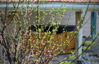 PIZUNY Dom pod dębem z balią na wyłączność - Foto 7