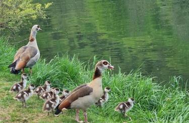 Maison espagnole du XVIème siècle - Foto 28