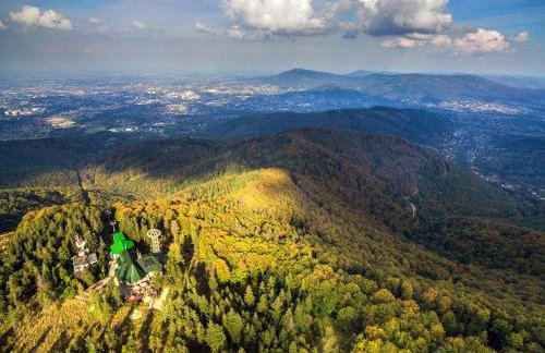 Apartamenty Pod Dębowcem Premium Jungle - Foto 41