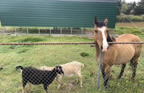 Rosie's Surf Shack - Foto 28