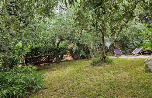 Apartmani Purić - Foto 33