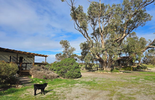 Coodlie Park Eco Retreat - Foto 31