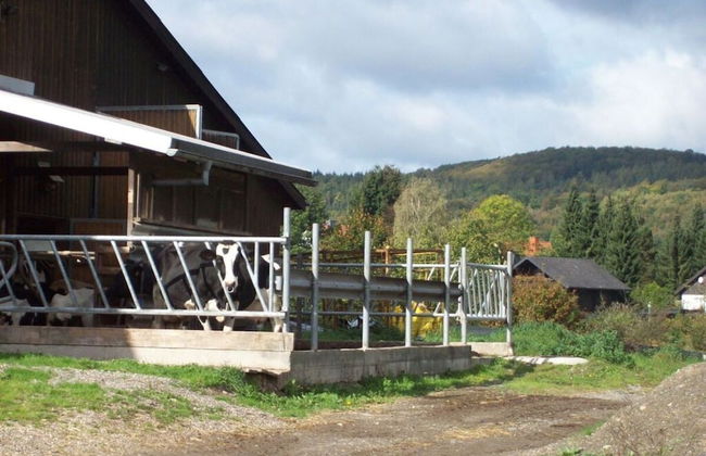 "hochstein" Modern Retreat - Foto 25