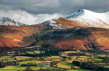 Kookaburra Cottage - Foto 10