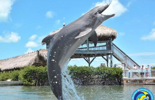 Blue Pearl New Waterfront Haven with Heated Pool ,70 Foot Dock, and More! - Foto 127