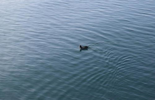 Haus Bodanblick - Foto 10