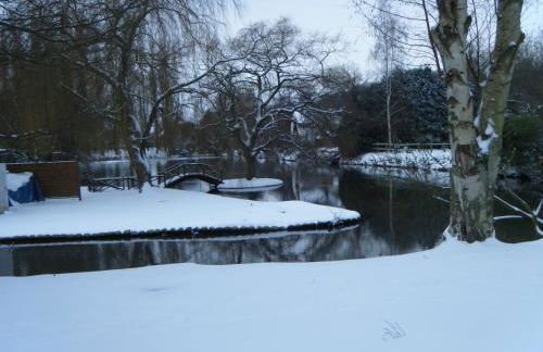 La louisiane - Foto 6