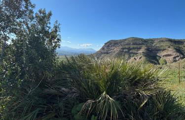 Mount Tatum - Foto 26