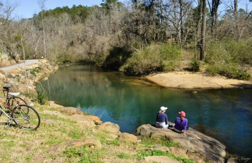 Quiet Retreat - Minutes to Oak Mountain State Park - Foto 47