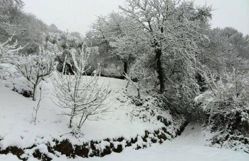 Casa Gloria - Foto 11