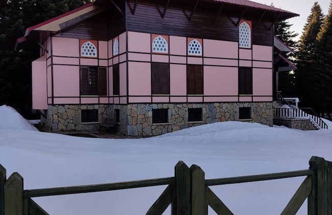 Karinna Forest Houses - Foto 47