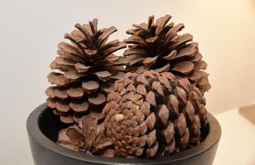 Dundas Flat, 1 bedroom, Comrie - Foto 20