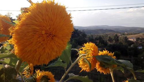 Casa Rural Mimbrero - Foto 2