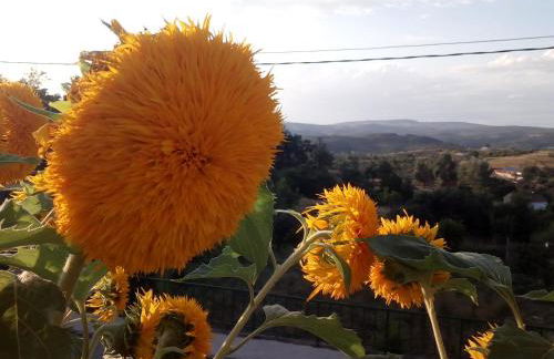 Casa Rural Mimbrero - Foto 2