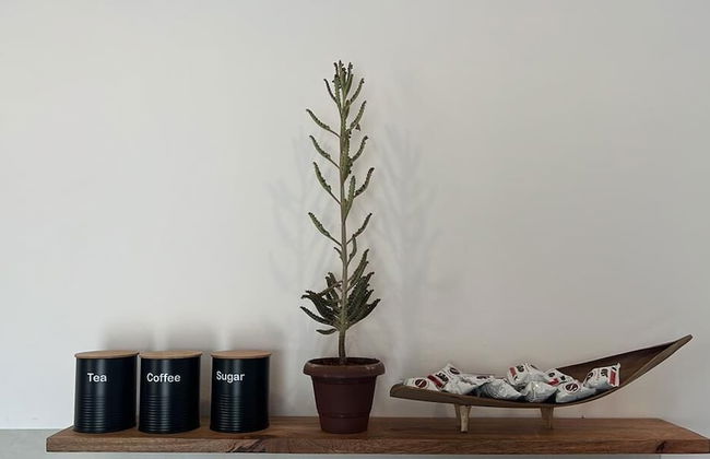 CDM VILLAS - Foto 20