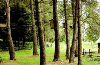 Apartament w Bieszczadach - Willa Stasia - Foto 12