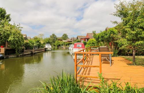 Kingfisher - Photo 33