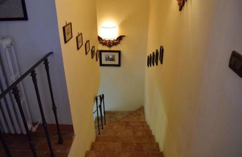 AGRIFOGLIO - Photo 12