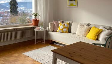 Lichtblick unter der Buche - Foto 3