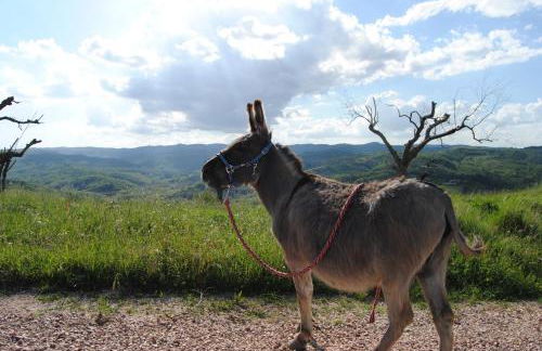 Sorelle Biologiche - Photo 51