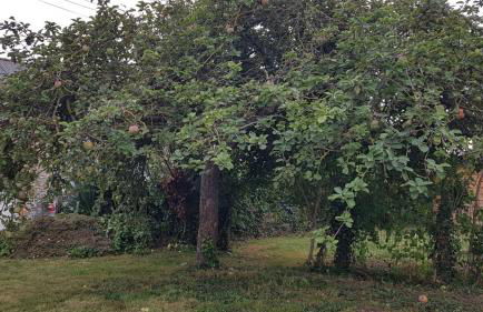 gîte marin petit châtelet - Foto 28