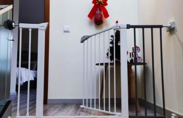 Mateus House - Porto da Cruz Center - Foto 53