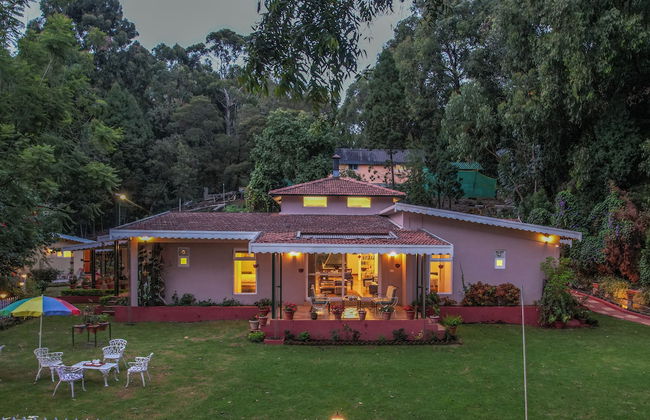 Rayne Forest - Foto 1