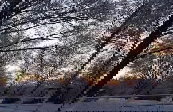 Billund Farm Holiday - Photo 51