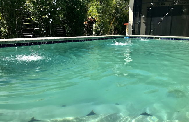 Royale Manor - Foto 8