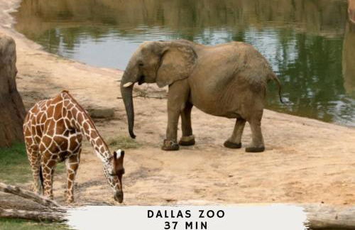 The Best of Lakeside Living - Luxury at its Finest - Photo 56