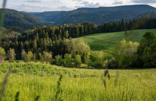 Ferienhaus, Muhlenbach - Foto 74