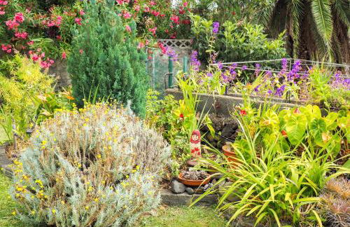 Casa Rural SOBRE EL MAR - Foto 45