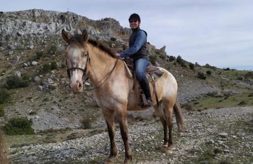 La Masía de Navas - Photo 10