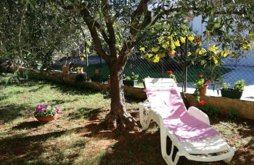 Apartmani Jenny - Photo 50