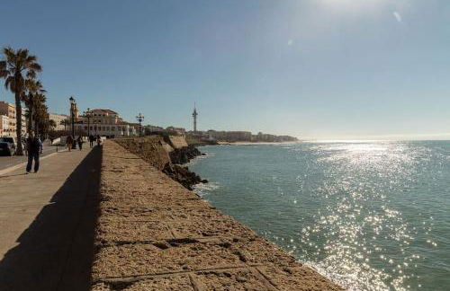 Candié by Gades Gestión - Foto 28