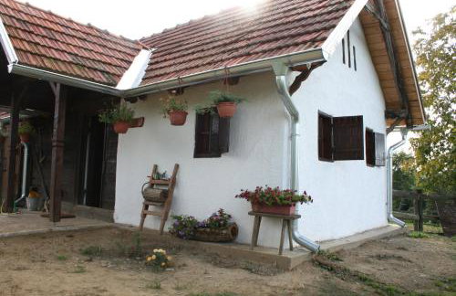 Farmica, Bed&Breakfast, Bazen izdvojen nekoliko minuta hoda - Foto 15