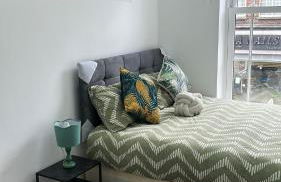 ModrenMuse - Foto 13