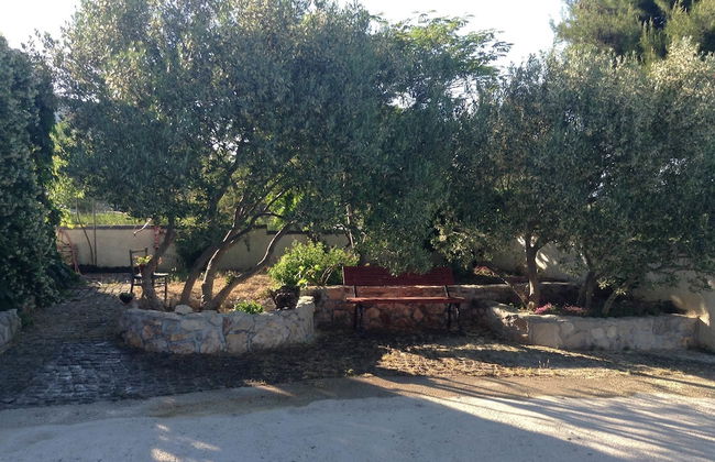 Apartments Ivana Murter - Foto 19